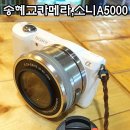 주식회사 주희 네이버블로그