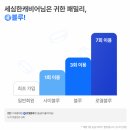 카모아 | 단기 렌트카 가격비교 플랫폼 카모아 내돈내산 이용후기