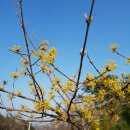 산수황토방 이미지