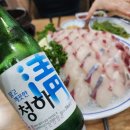 범계갯바위횟집 | 범계 야장 술집, 범계갯바위횟집 보리숭어 대신 줄무늬전갱이