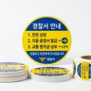 퍼플비
