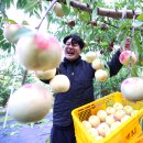 시목농장 이미지