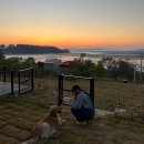 굿나잇도그 이미지