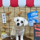 몽개구름 | 무찌 간석동 몽개구름에서 배냇미용 했어요.