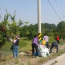 아산마을진입로 이미지