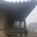 도군로-3 티스토리