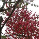 옥주농장 이미지