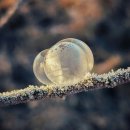 한류월드로408번길 | 고양 시티투어버스 한류월드 노선 후기｜킨텍스부터 드라마 촬영지까지 한 번에