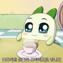 F45 정자 이미지