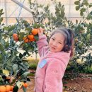 수곡어린이집 이미지