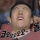 인삼송어장 네이버블로그