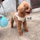 씨유 제주삼다점 | 5달 전 일상부터 주섬주섬 꺼내보는 나,,
