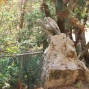 상만농장 이미지