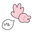 숙성초벌돼지구이정돈가 이미지