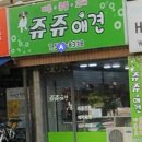 내동애견 이미지