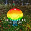 푸른달발달장애미술교습소 | 서울 불빛 축제 당현천 노원달빛산책 관람 후기 주차 정보 작품 설명 꿀팁 야간 데이트 코스 추천