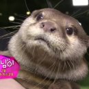 햇님농장 이미지