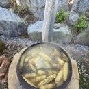 요도천 | 대산 농촌 재단과 함께하는 가족사랑 농촌 체험-긴들체험마을