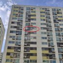 한신아파트 앞 이미지