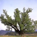 군도20호선 이미지