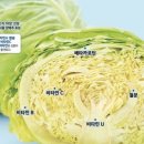 장수식품 이미지