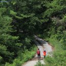 방터 | [소백산자락길6자락] 재미없는 길