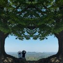 백제할인마트 | [25년 5월] 연휴기록(4/28~5/6)