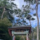 용문사와 메덩골정원 이미지