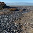 송곤목장 이미지