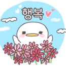케이콜라보김밥북수원
