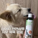 도그도그 | 강아지 천연샴푸 추천 ㅣ 지우가 써본 프레쉬도그샴푸 후기