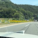 와이마트 오치점 | 6월에는요, 2