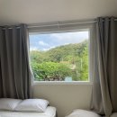 스테이숲숲 이미지