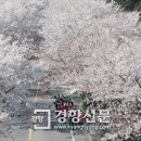 제일원떡방앗간 이미지