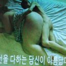 동네미용실 Daum카페
