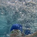 어푸어푸 이미지