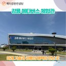 강릉녹색도시체험센터 통합컨벤션동 | 강릉 메타버스 체험관 방문 후기: 미래 기술과 강릉의 매력이 만난 곳