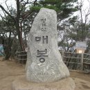 숲과계곡속으로 이미지