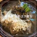 우리오리다오리