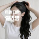 산곡 애견사랑 이미지