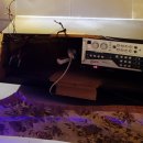 보스노래클럽 이미지