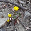 구암동366 | 대구 왕산, 응해산, 도덕산, 망원봉, 함지산