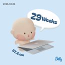 (주)마상소프트 | [임신기록15] 29주차 부산여행, 시그니엘 부산 더뷰 뷔페 임산부할인 받고 다녀오기