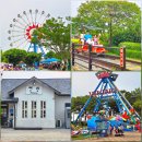 침곡농장 | 곡성 여행 섬진강 기차마을 장미공원 드림랜드 레일바이크