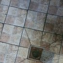 신음동 금류아파트(1차) 이미지