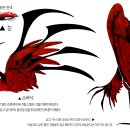 헤이정 이미지