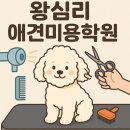 우리집 미용사(여성) 이미지