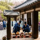 *심 곡 서원 춘 계 향 사 봉 행 안내 및 주요 정보 이미지