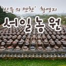 서일식당 이미지