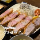 건국특수가스 | 천안 건국카츠 불당동 돈가스 맛집 특등심카츠 내돈내산 후기